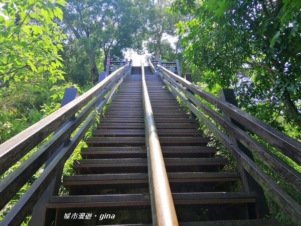 【彰化社頭】陡直天梯好視野。 清水岩步道群~中央嶺造林步道~