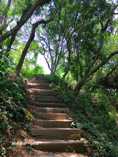 【彰化社頭】陡直天梯好視野。 清水岩步道群~中央嶺造林步道~