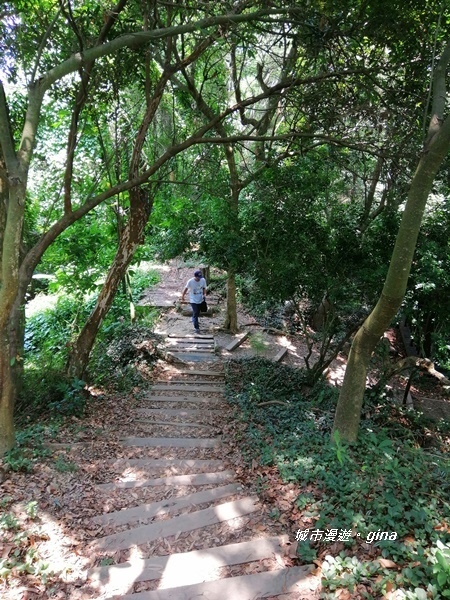 【彰化社頭】陡直天梯好視野。 清水岩步道群~中央嶺造林步道~