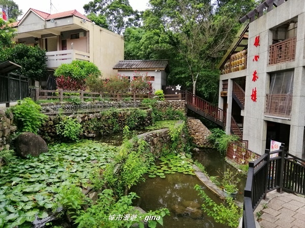 【新竹峨眉】小而美的悠閒步道。 獅頭山風景區~水濂橋步道