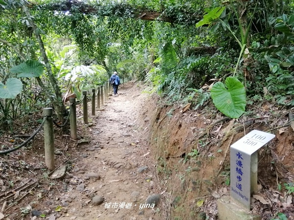 【新竹峨眉】小而美的悠閒步道。 獅頭山風景區~水濂橋步道