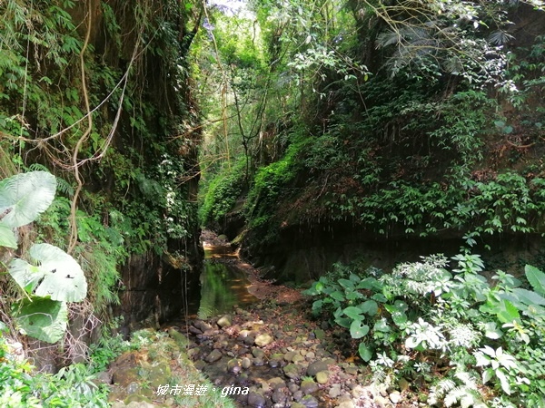 【新竹峨眉】梵音繚繞。 獅頭山風景區~水濂洞步道