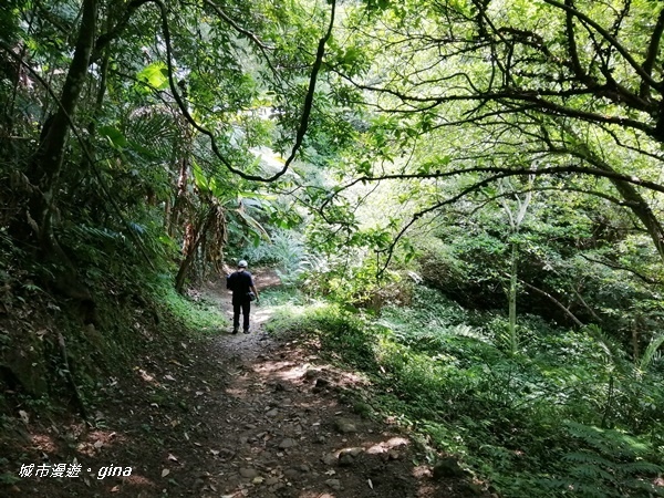 【新竹峨眉】步道悠閒走。 獅頭山風景區~六寮古道