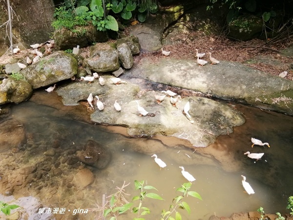 IMG_20200808_114116.jpg IMG_20200808_114116.jpg