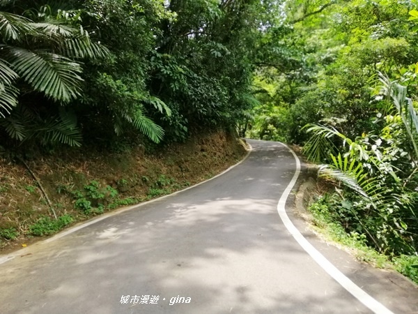 【新竹峨眉】步道悠閒走。 獅頭山風景區~六寮古道