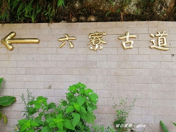 IMG_20200808_113902.jpg IMG_20200808_113902.jpg