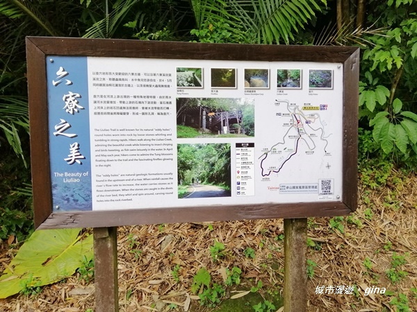 IMG_20200808_114237.jpg IMG_20200808_114237.jpg