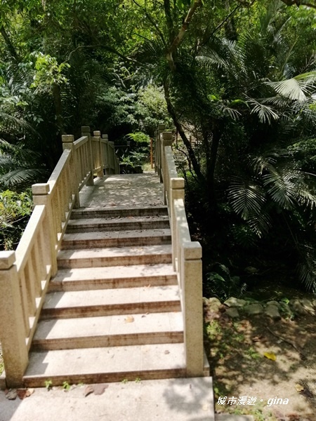 IMG_20200808_114710.jpg IMG_20200808_114710.jpg