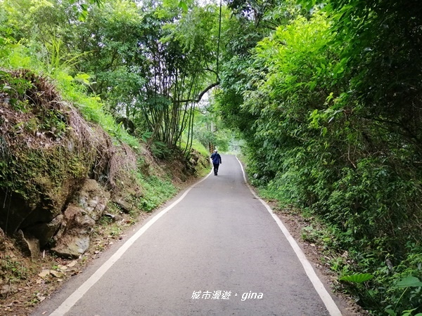 【新竹峨眉】步道悠閒走。 獅頭山風景區~六寮古道