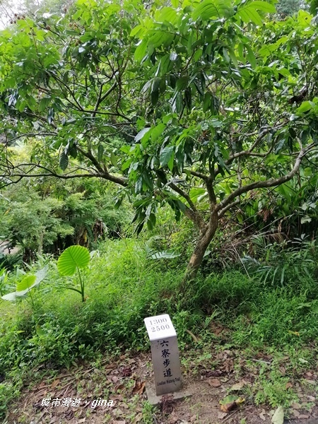 IMG_20200808_121349.jpg IMG_20200808_121349.jpg