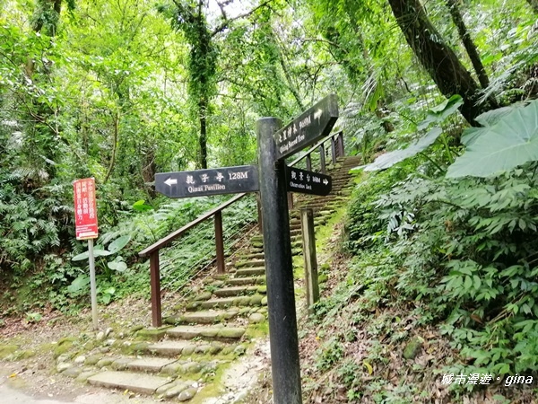 【新竹峨眉】步道悠閒走。 獅頭山風景區~六寮古道