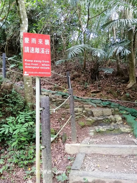 IMG_20200808_121745.jpg IMG_20200808_121745.jpg