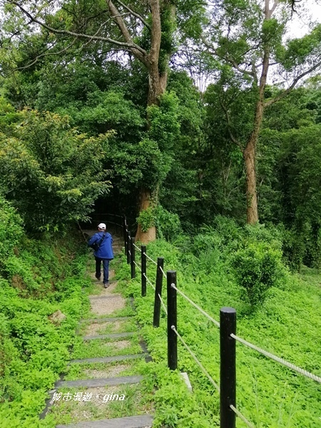 IMG_20200808_121611.jpg IMG_20200808_121611.jpg