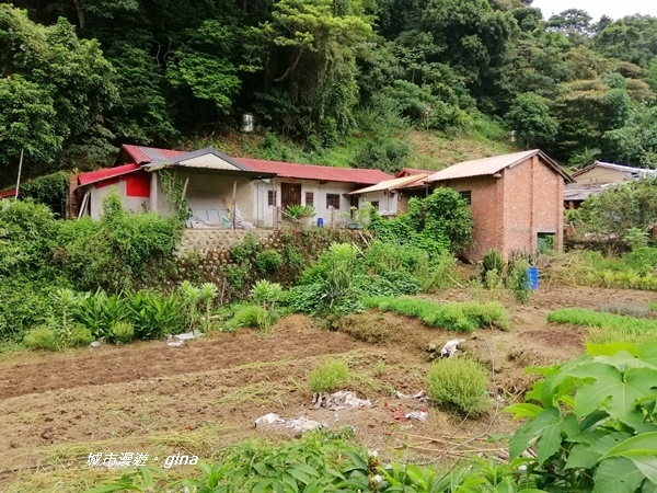 IMG_20200808_121440.jpg IMG_20200808_121440.jpg