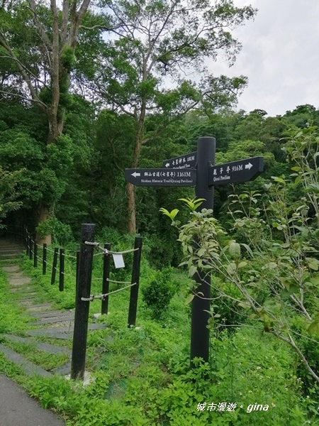 【新竹峨眉】步道悠閒走。 獅頭山風景區~六寮古道