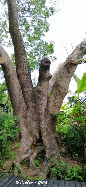 IMG_20200808_122049.jpg IMG_20200808_122049.jpg