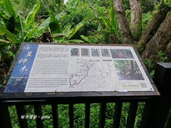 IMG_20200808_122405.jpg IMG_20200808_122405.jpg