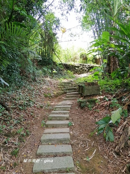 IMG_20200808_122545.jpg IMG_20200808_122545.jpg