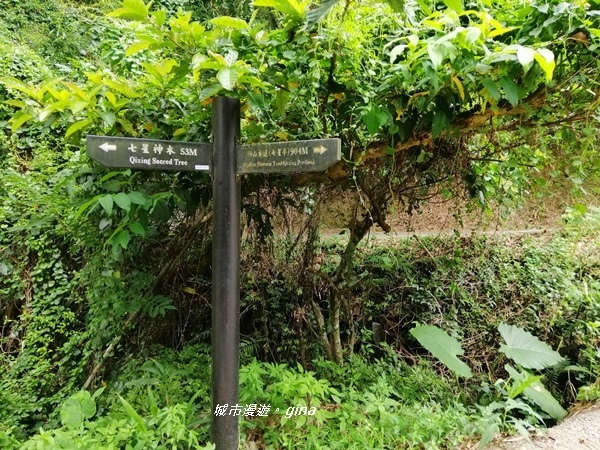 【新竹峨眉】步道悠閒走。 獅頭山風景區~六寮古道