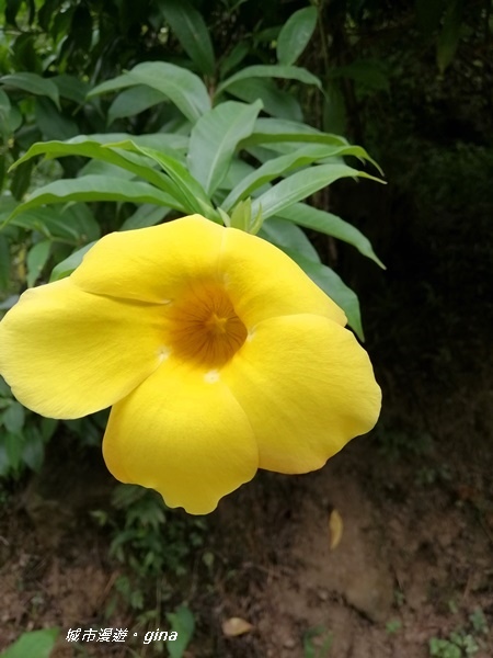 IMG_20200808_123053.jpg IMG_20200808_123053.jpg