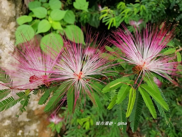 IMG_20200808_123200.jpg IMG_20200808_123200.jpg