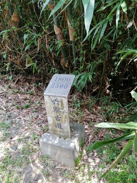 IMG_20200808_124242.jpg IMG_20200808_124242.jpg