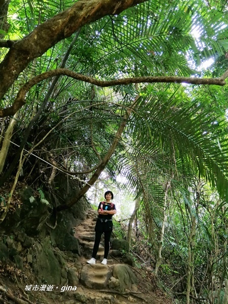 【新竹峨眉】步道悠閒走。 獅頭山風景區~六寮古道