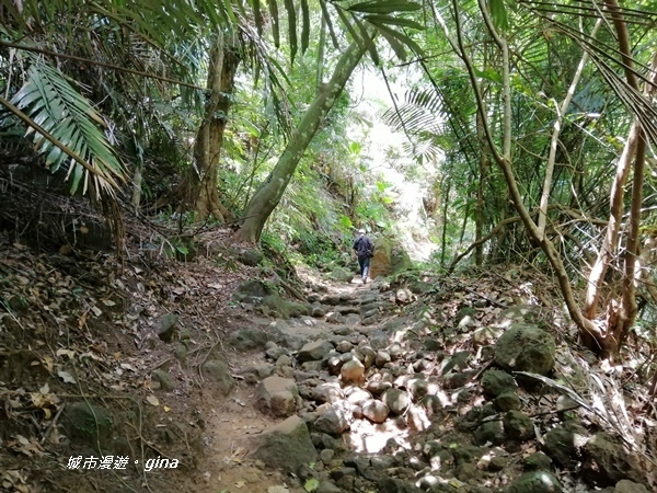 IMG_20200808_124832.jpg IMG_20200808_124832.jpg