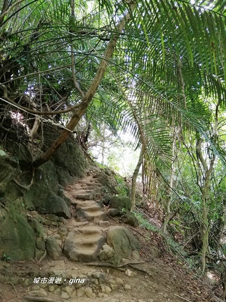 IMG_20200808_125402.jpg IMG_20200808_125402.jpg