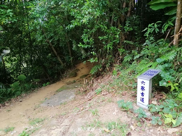 【新竹峨眉】步道悠閒走。 獅頭山風景區~六寮古道