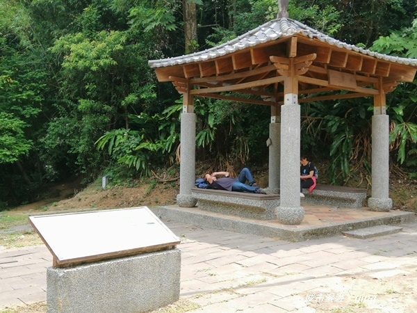 IMG_20200808_125823.jpg IMG_20200808_125823.jpg