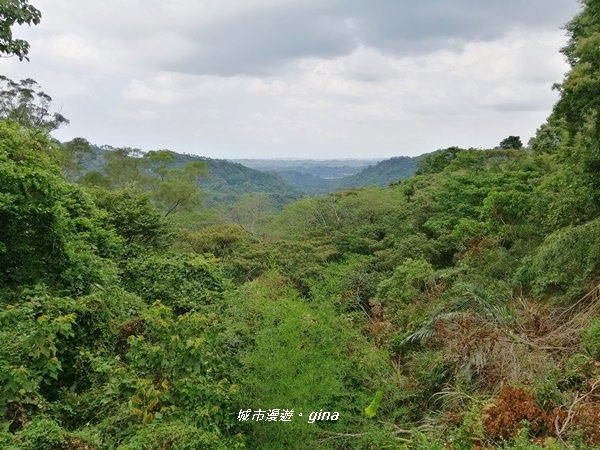 IMG_20200808_131703.jpg IMG_20200808_131703.jpg