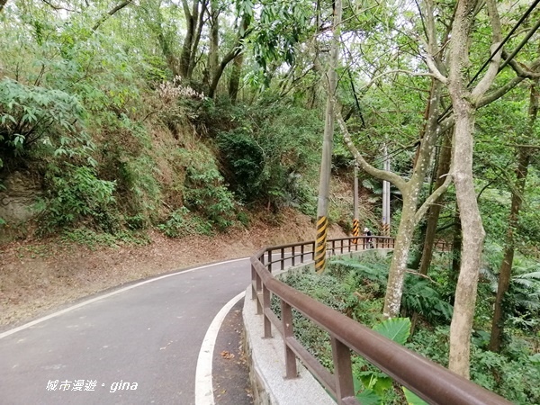 IMG_20200808_131735.jpg IMG_20200808_131735.jpg