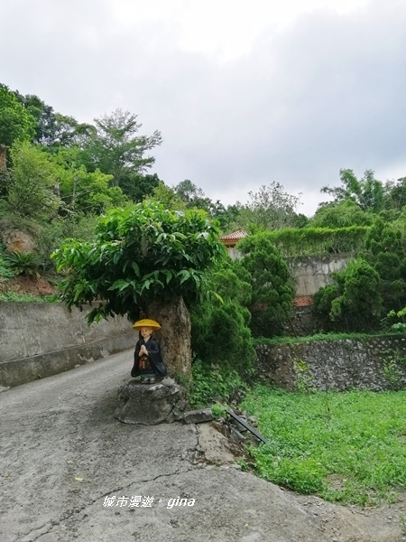 IMG_20200808_132912.jpg IMG_20200808_132912.jpg