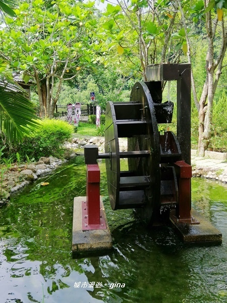 IMG_20200808_135201.jpg IMG_20200808_135201.jpg