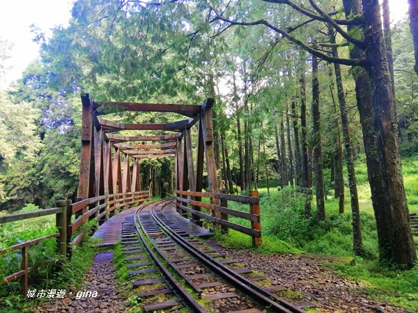 IMG_20200814_083803.jpg IMG_20200814_083803.jpg