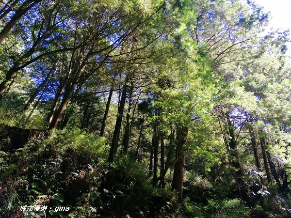 IMG_20200814_083954.jpg IMG_20200814_083954.jpg