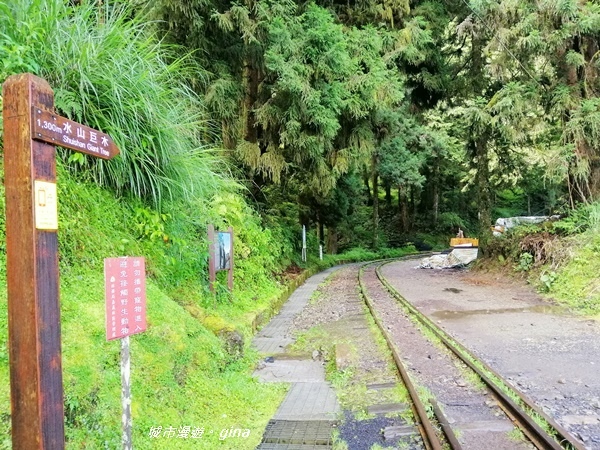 IMG_20200814_083955.jpg IMG_20200814_083955.jpg