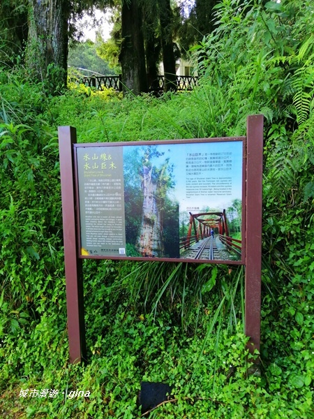 IMG_20200814_083957.jpg IMG_20200814_083957.jpg