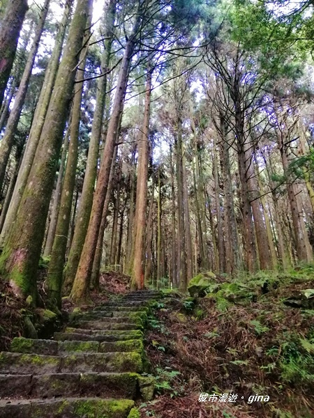 IMG_20200814_083961.jpg IMG_20200814_083961.jpg