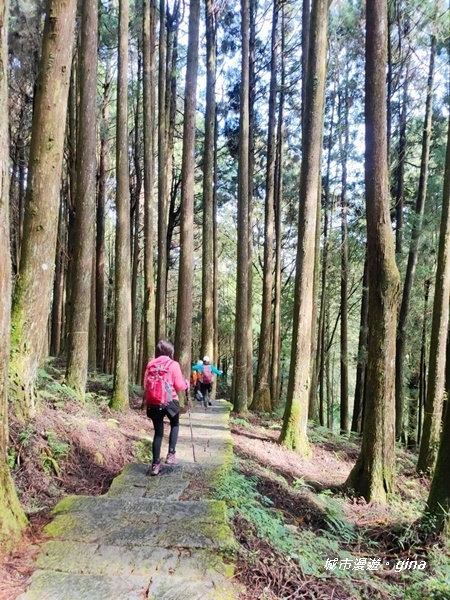 IMG_20200814_083958.jpg IMG_20200814_083958.jpg