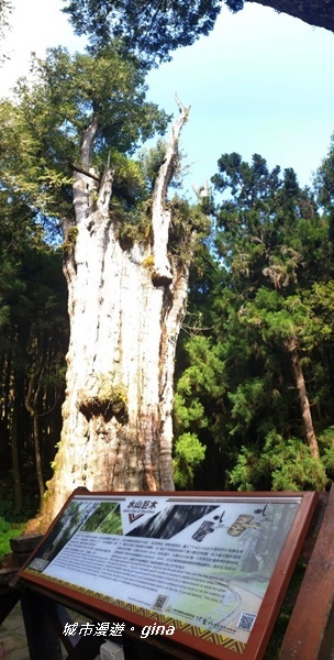 IMG_20200814_083964.jpg IMG_20200814_083964.jpg