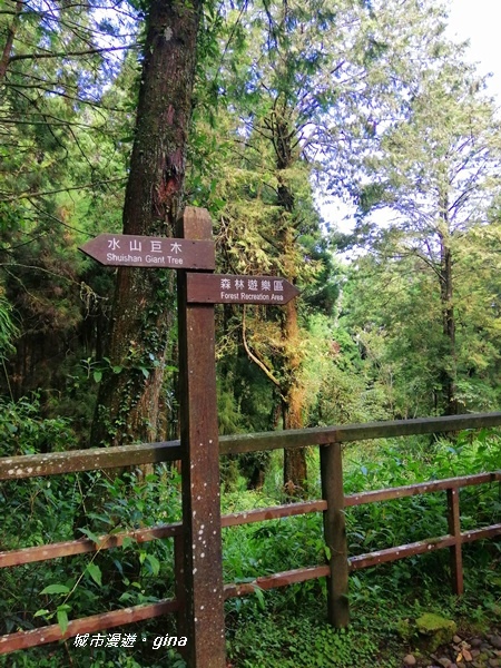 IMG_20200814_091505.jpg IMG_20200814_091505.jpg