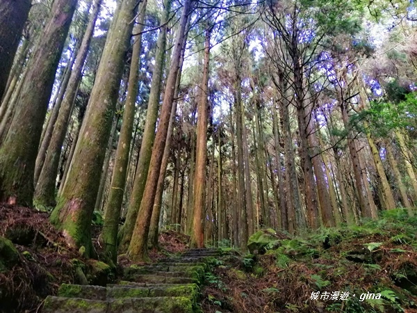 IMG_20200814_091427.jpg IMG_20200814_091427.jpg