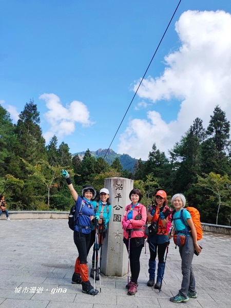 【嘉義阿里山鄉】探訪2700年樹齡之水山巨木x祝山林道x櫻之