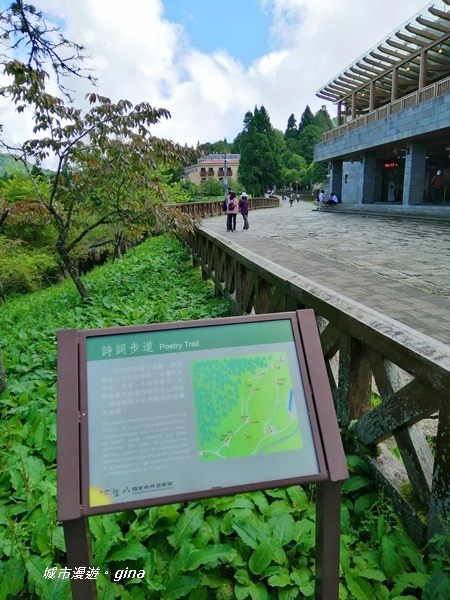 IMG_20200814_095335.jpg IMG_20200814_095335.jpg