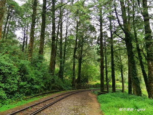 IMG_20200814_135734.jpg IMG_20200814_135734.jpg