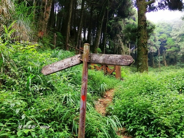 IMG_20200814_135459.jpg IMG_20200814_135459.jpg