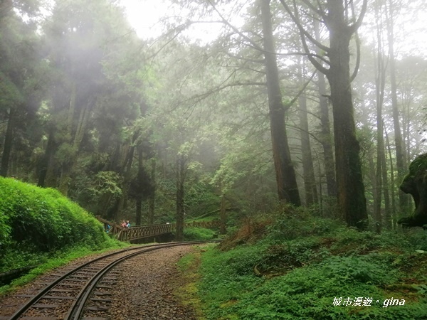 IMG_20200814_135515.jpg IMG_20200814_135515.jpg