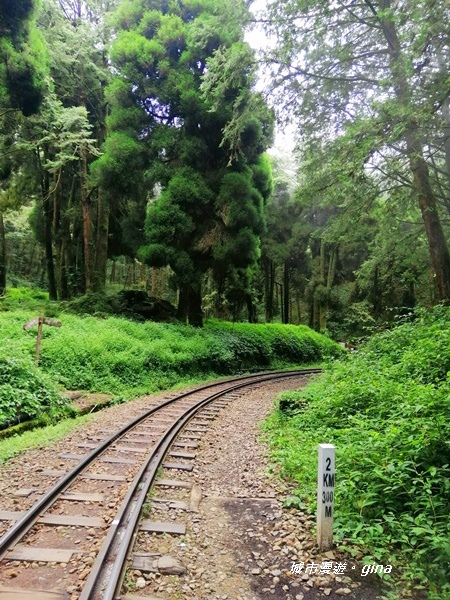 IMG_20200814_135441.jpg IMG_20200814_135441.jpg